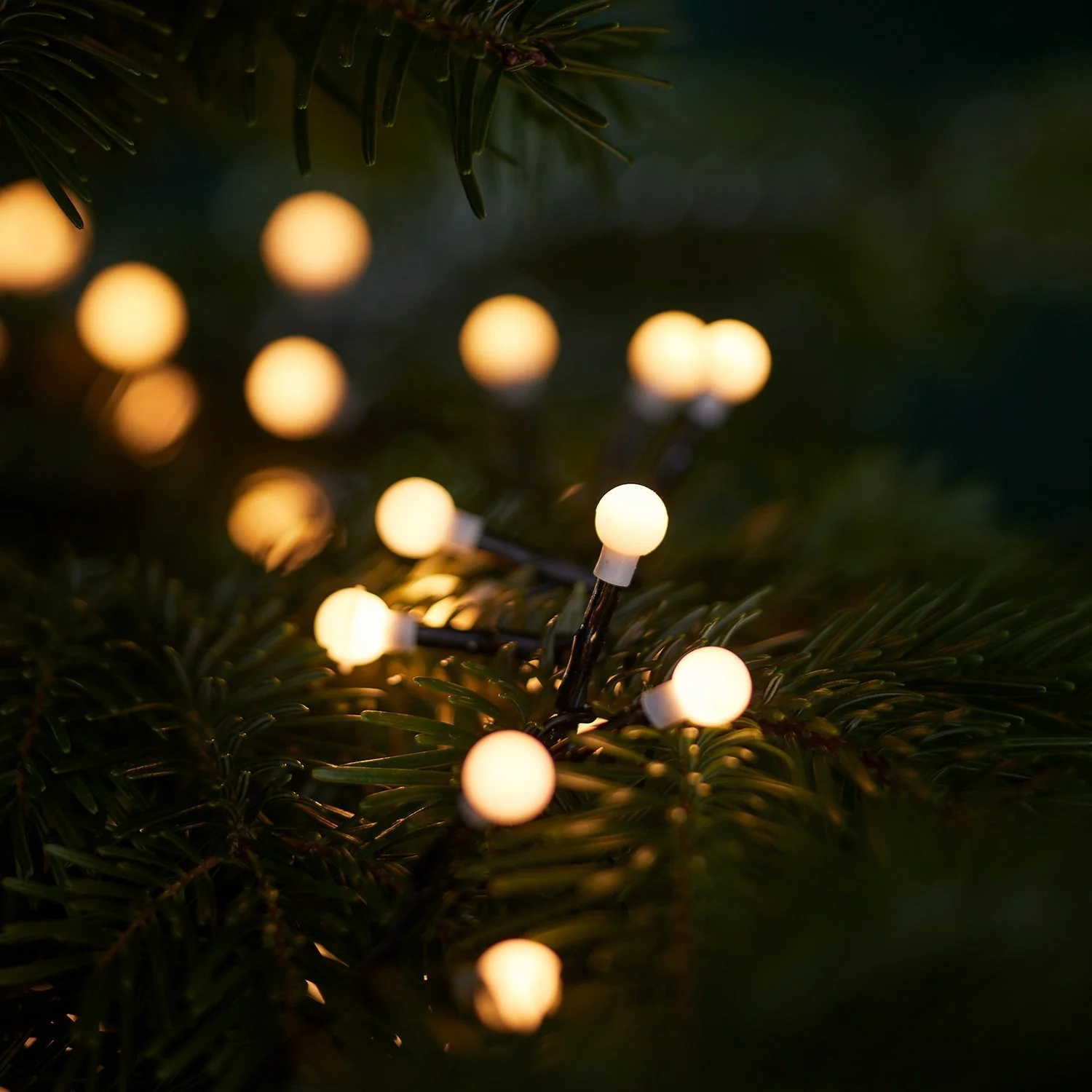 500 Warm White Berry LED Christmas Tree Lights