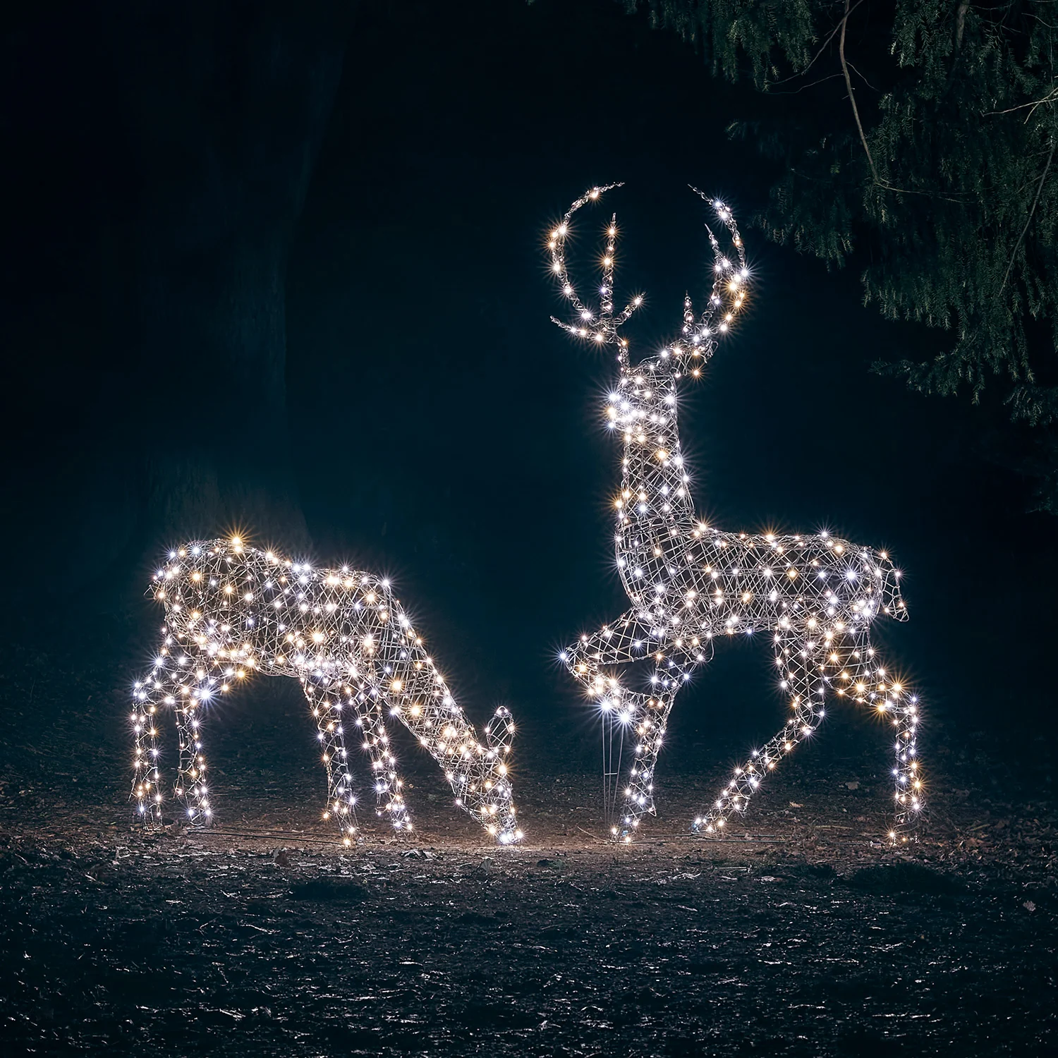 1m Studley Rattan Doe Dual Colour LED Light Up Reindeer - Image 6