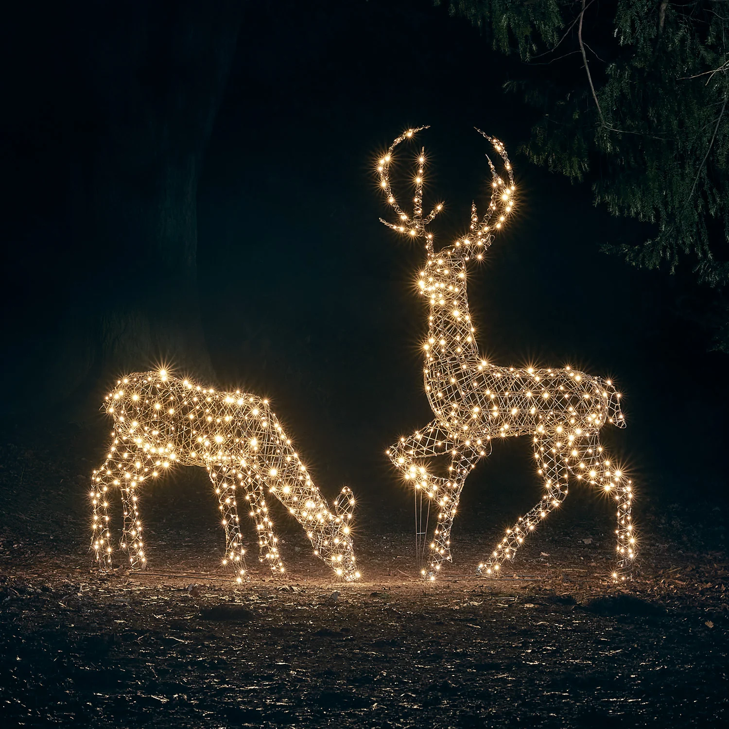2m Studley Rattan Stag Dual Colour LED Light Up Reindeer - Image 7