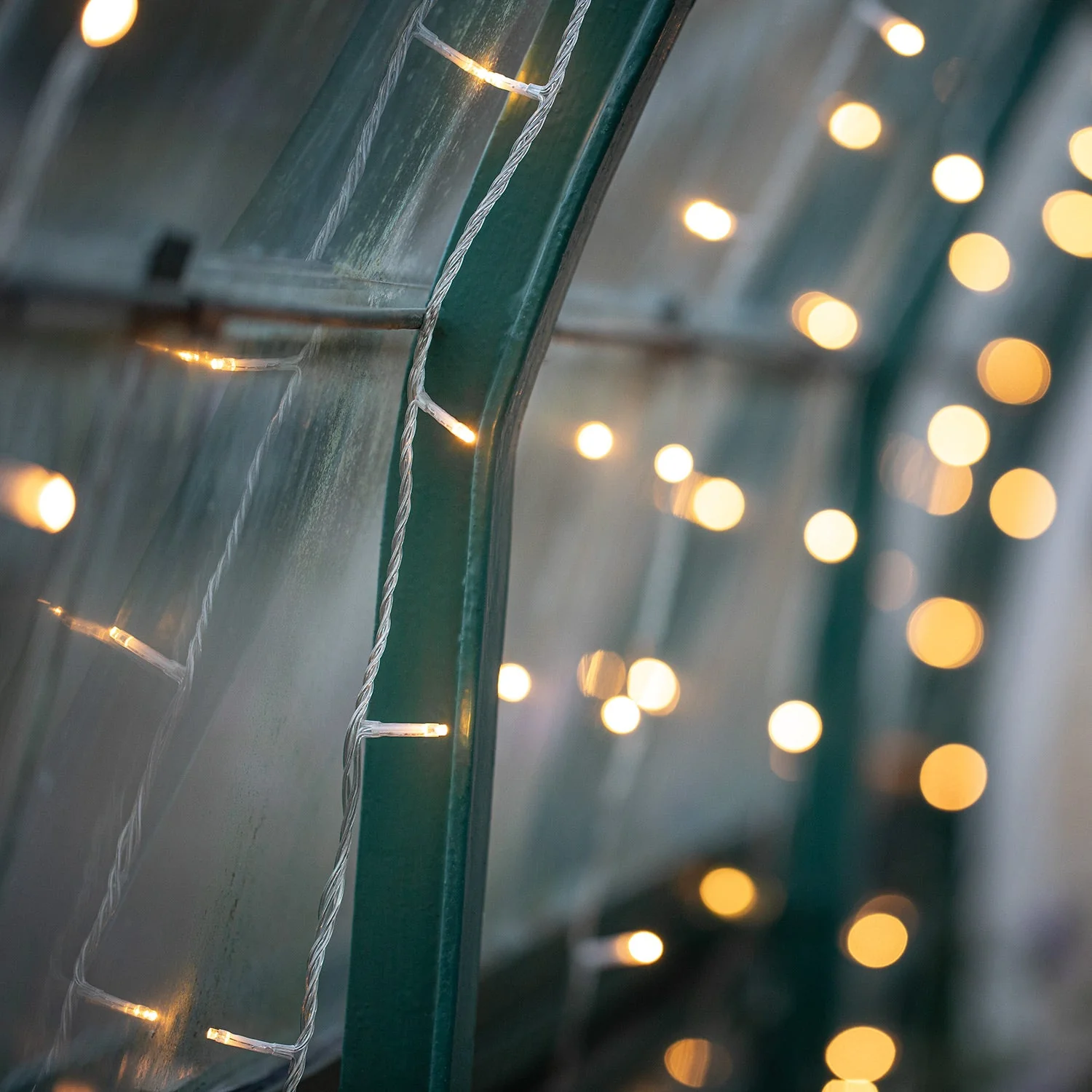 800 Dual LED String Lights Clear Cable - Image 9