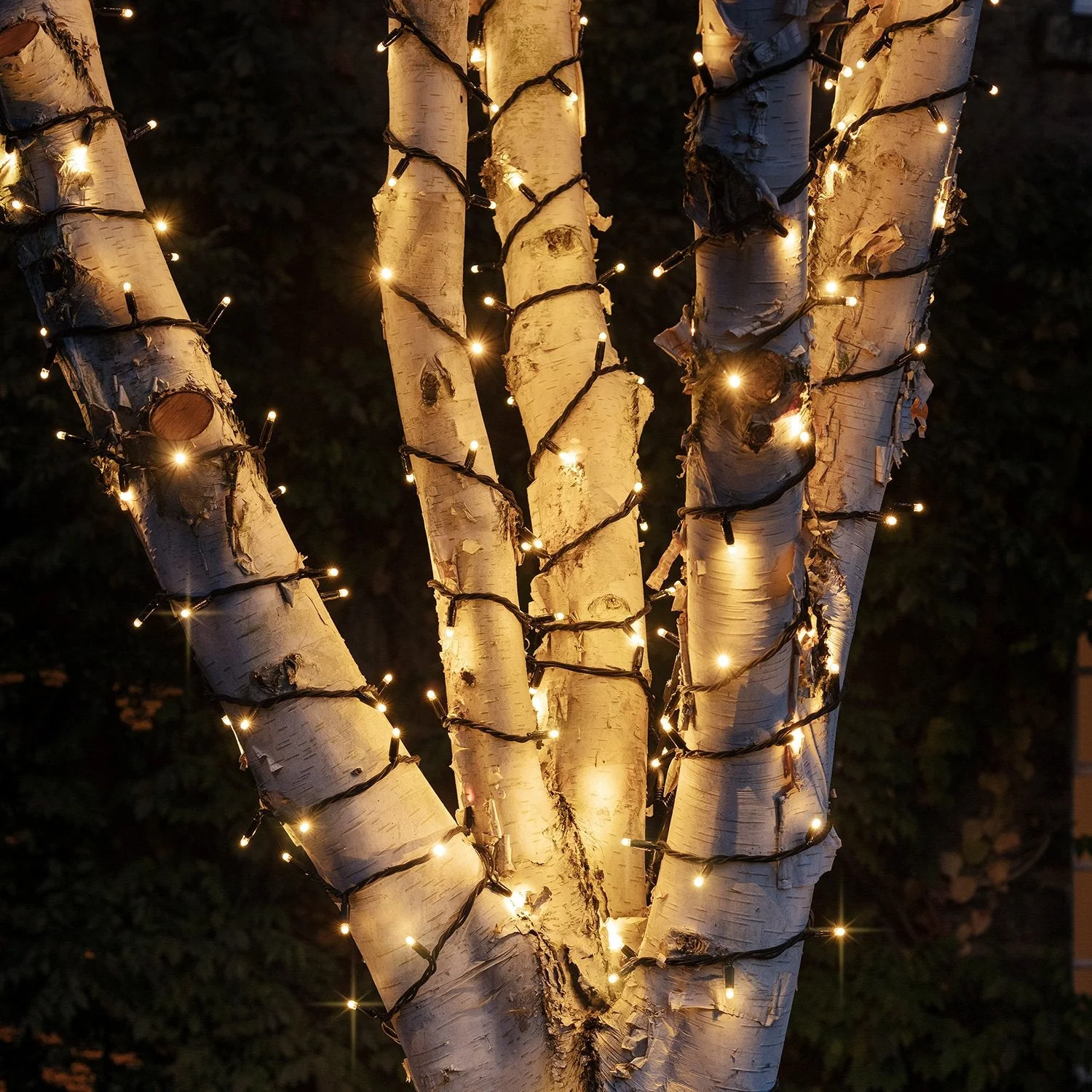 Plus Connect 100m 1000 Warm White Connectable Fairy Lights Black Cable - Image 2