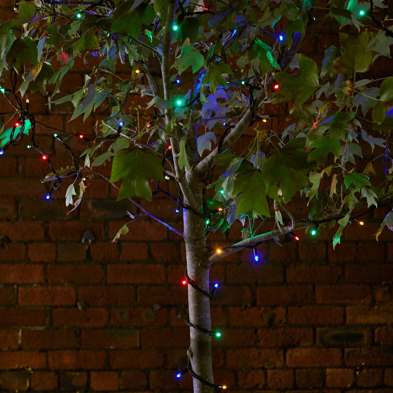 Plus Connect 15m 100 Multi Coloured Connectable Fairy Lights Black Cable - Image 5