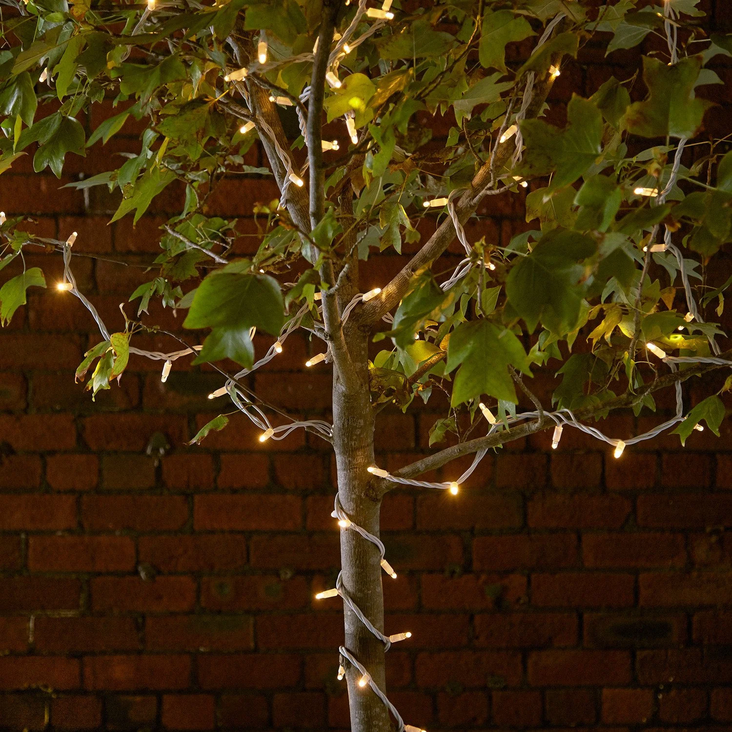 Pro Connect 120m 1200 Traditional Warm White Connectable String Lights White Cable